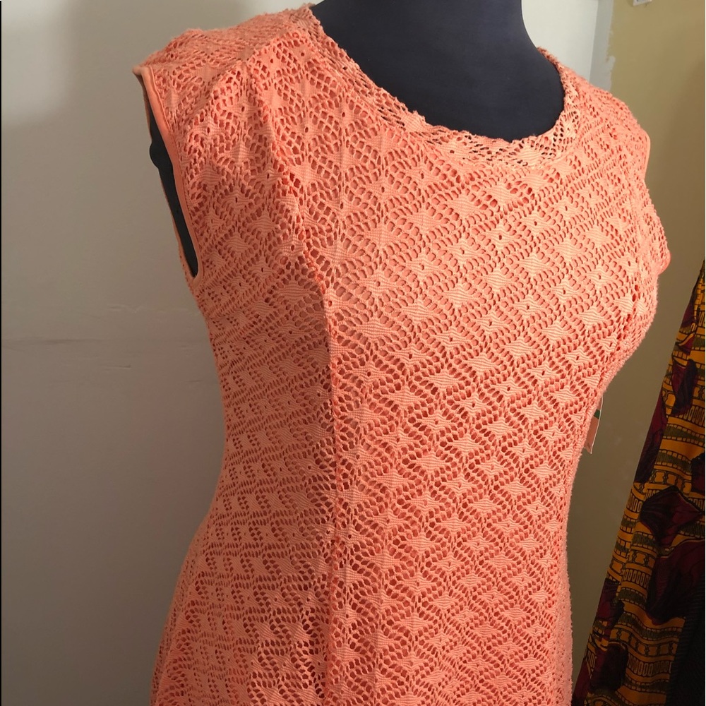 Emaline Lace Midi Dress